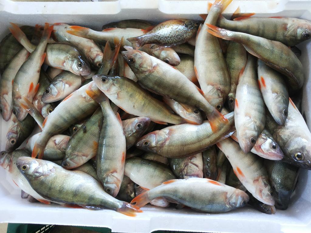 산 펠리치아노 Fattoria Il Poggio 빌라 외부 사진